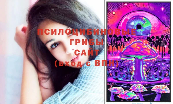 эйфоретик Богданович